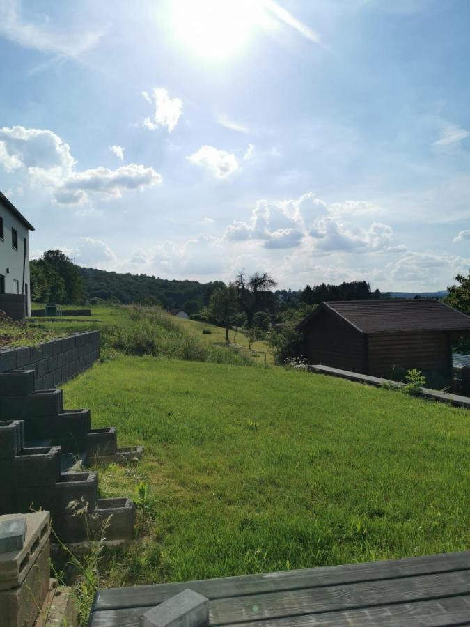 Ferienwohnung Auf Villa Hendschhof Sankt Wendel Exteriér fotografie